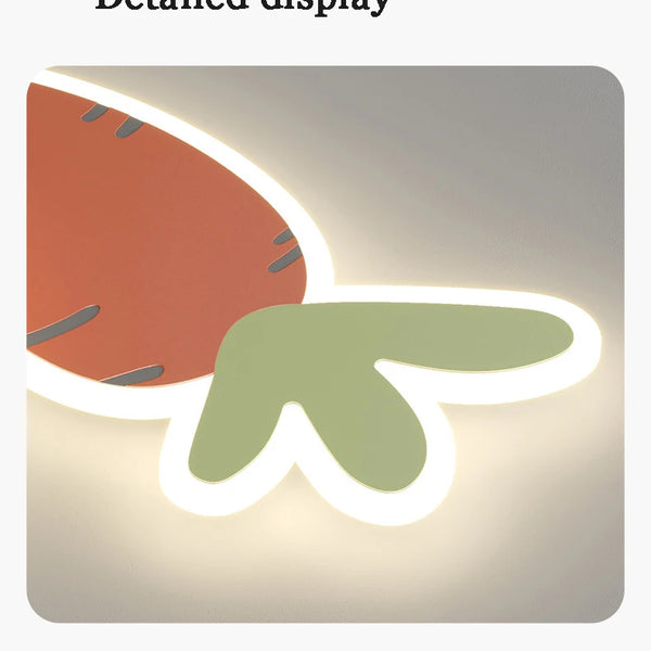 Cute LED ceiling lights for kids' room