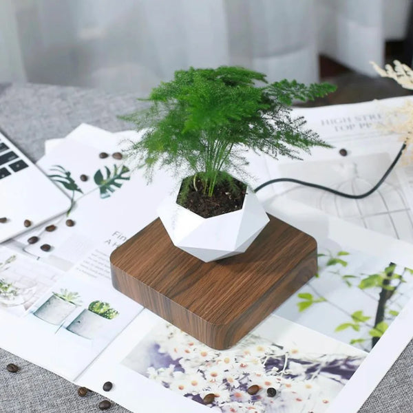 Levitating Air Rotating Bonsai Pot