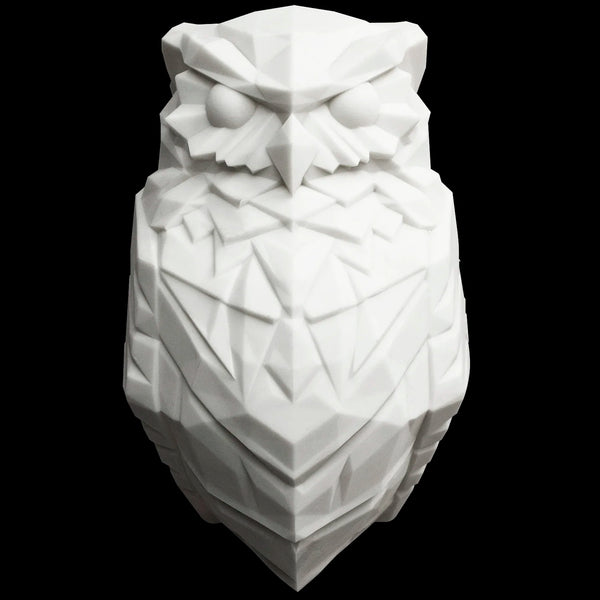 3D Printed Owl Wall/eagle Lamp