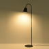 Modern and simple iron LED floor lamp