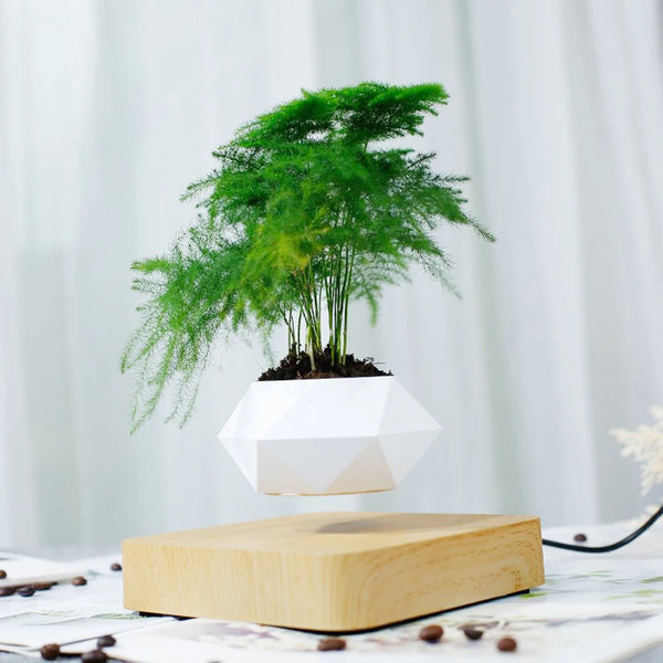 Levitating Air Rotating Bonsai Pot