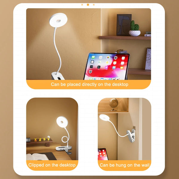 Portable LED table lamp with clip
