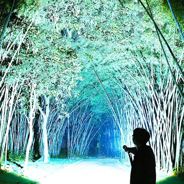 Most powerful tactical LED flashlight, 15000 mAh