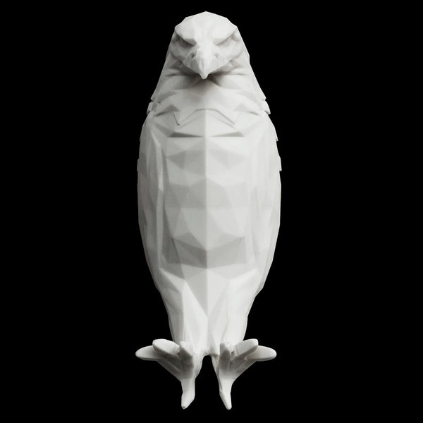 3D Printed Owl Wall/eagle Lamp