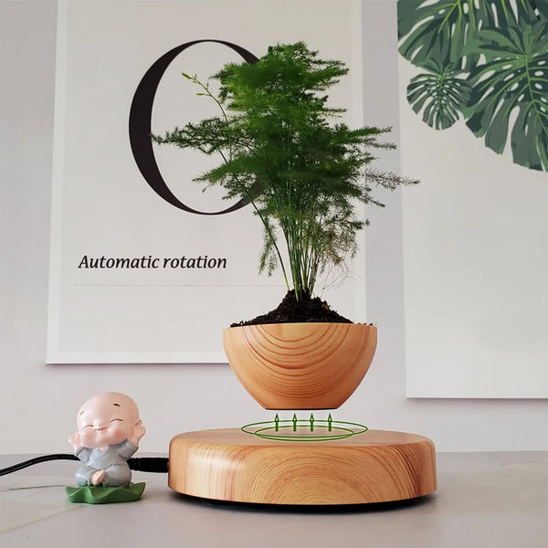 Levitating Air Rotating Bonsai Pot