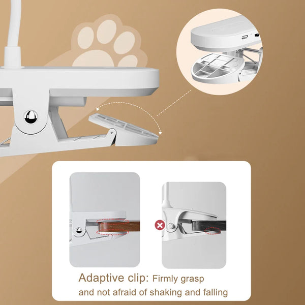 Portable LED table lamp with clip