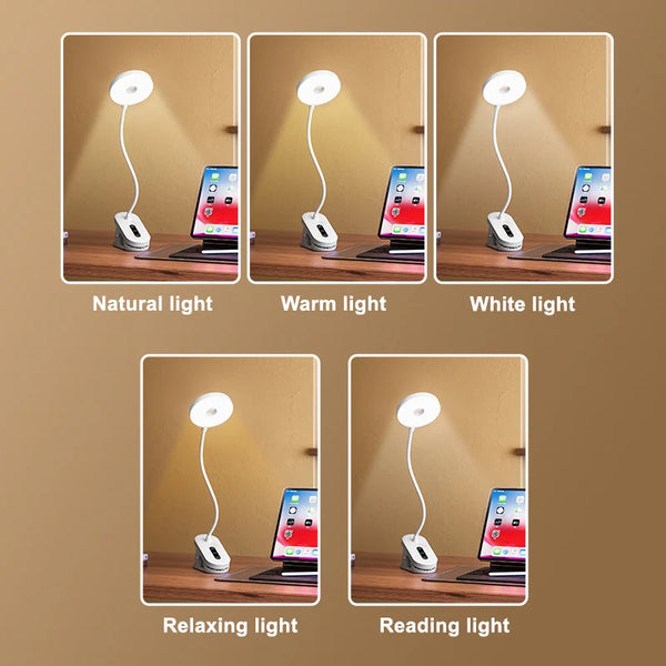 Portable LED table lamp with clip