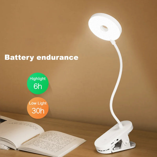 Portable LED table lamp with clip