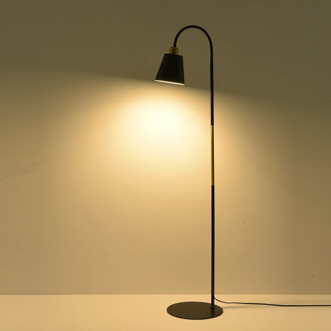 Modern and simple iron LED floor lamp
