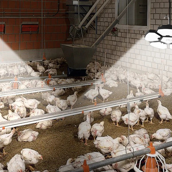 Solar warehouse light with 156 LEDs, solar pendant for indoor and outdoor areas