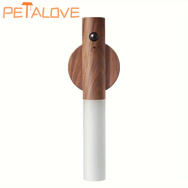 Night light motion sensor