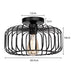 Simple birdcage ceiling ligh