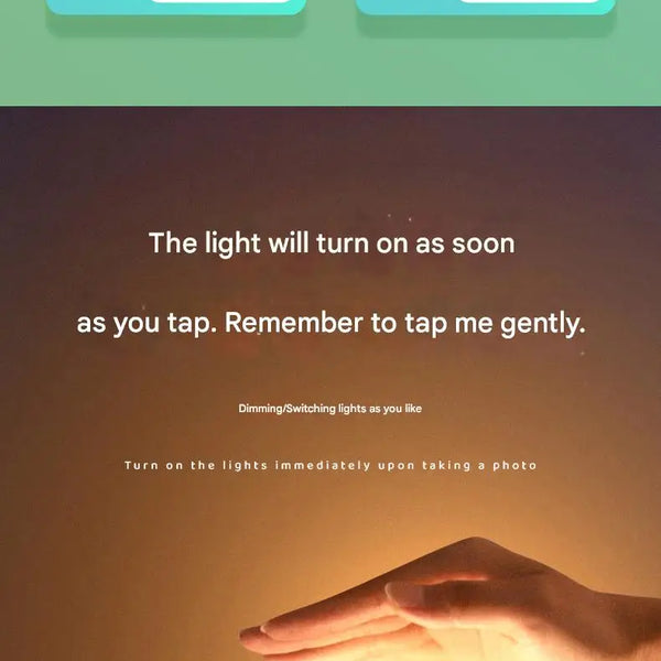 Cute turtle lamp made of silicone and touch sensitive