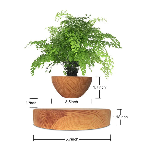 Levitating Air Rotating Bonsai Pot